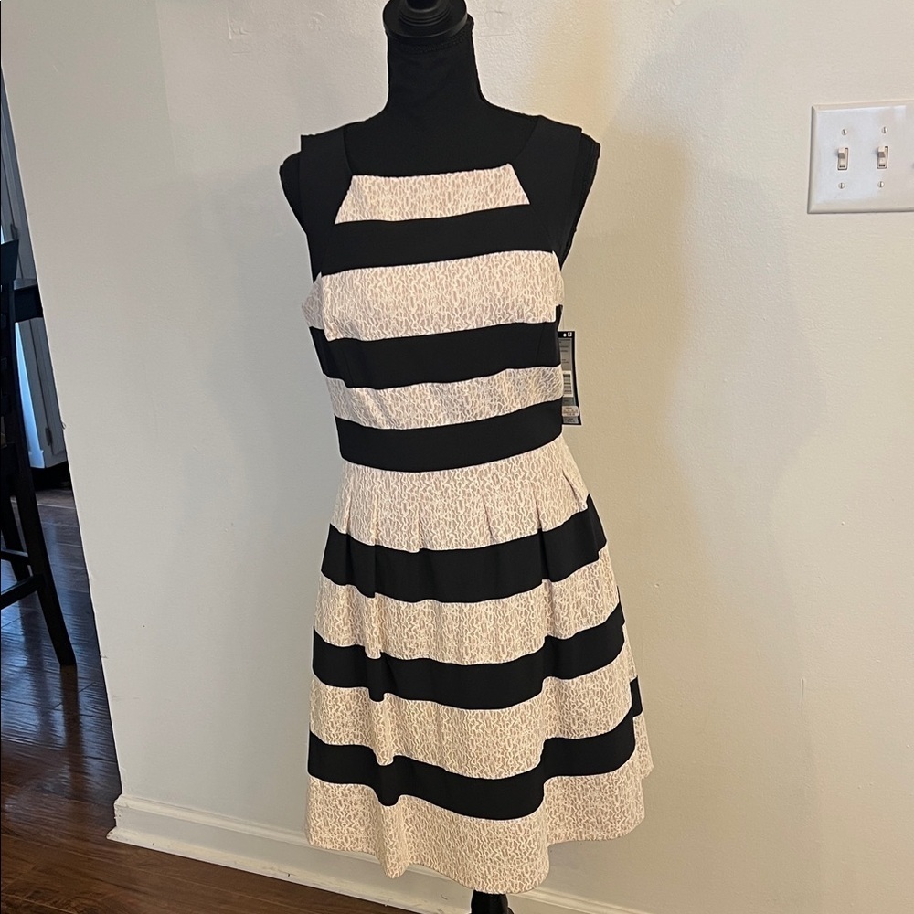 NWT Tahari Black and Cream Striped Lace Dress, Sz 6